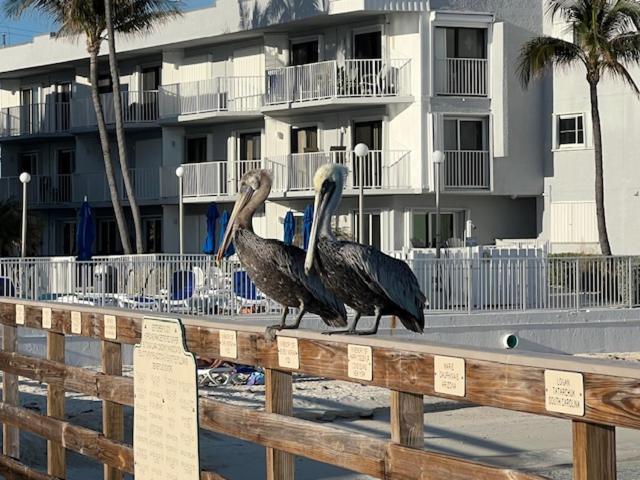Casa Clara Condos Key Colony Beach Екстер'єр фото